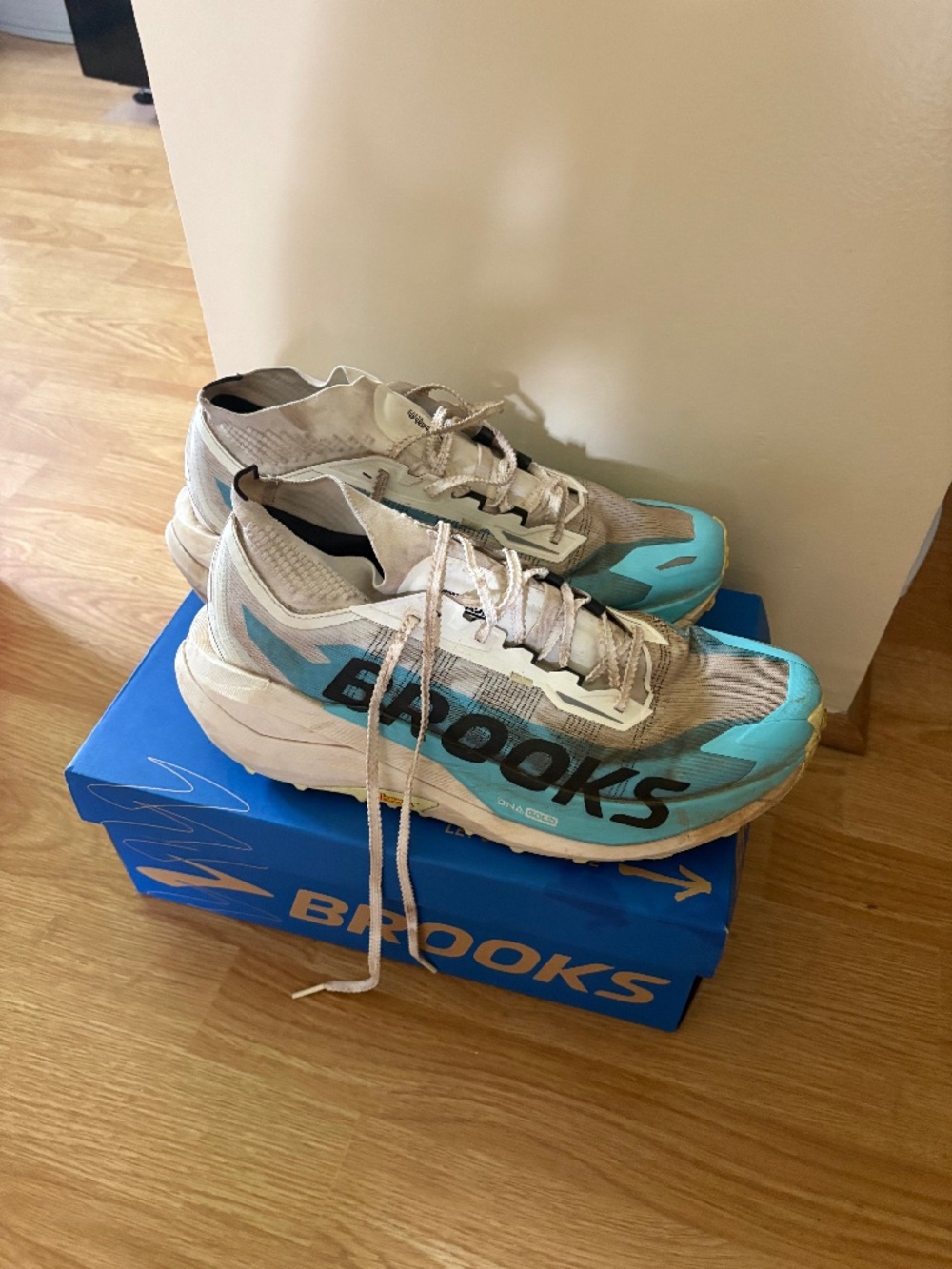 Brooks cascadia elite M11.5